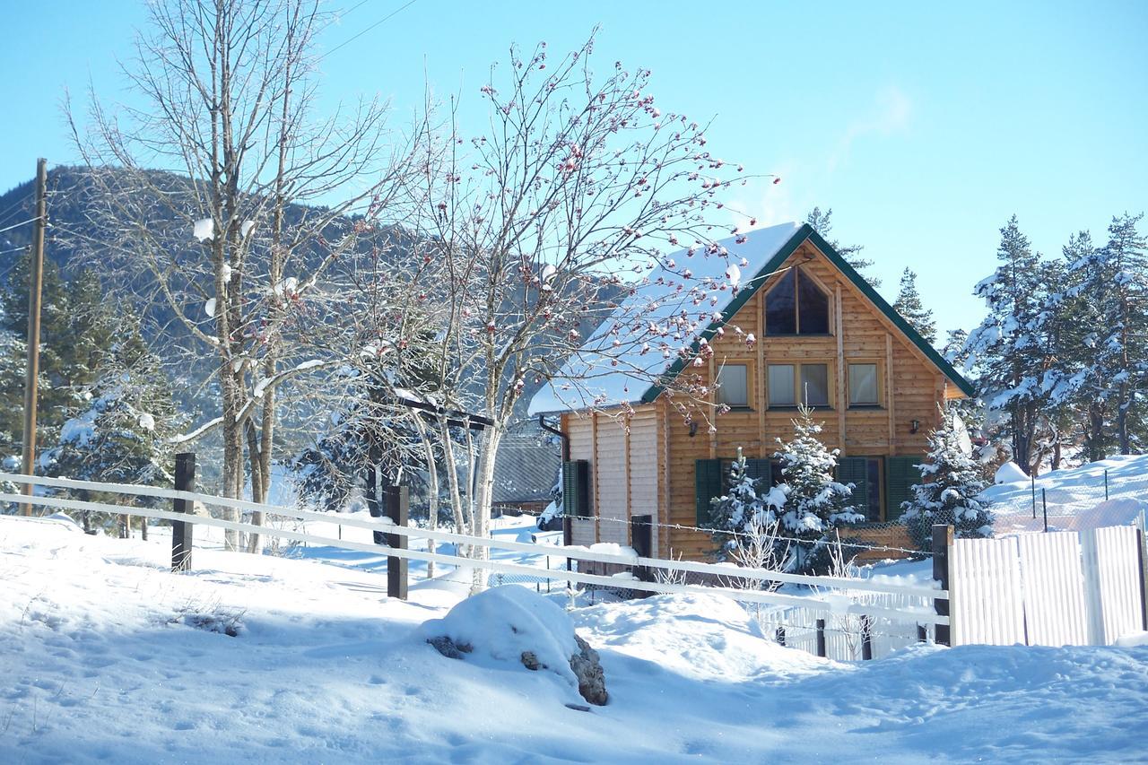 자블야크 Kuca U Borju - House In Pines 아파트 외부 사진