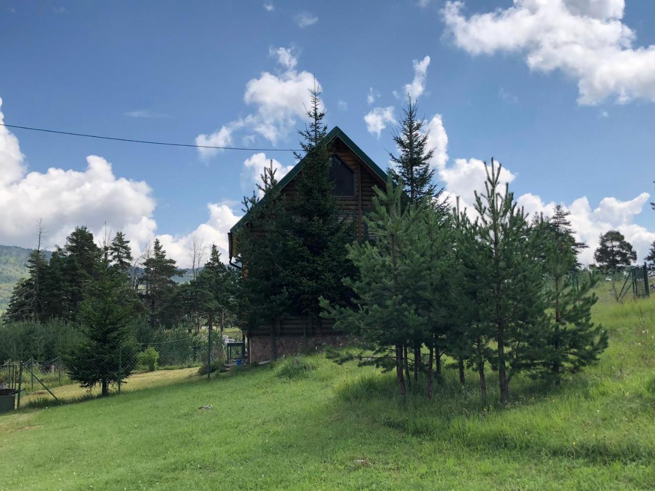 자블야크 Kuca U Borju - House In Pines 아파트 외부 사진